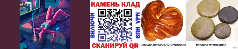 как найти закладки  Инта  ОМГ ОМГ как зайти  ГАШ гарик 