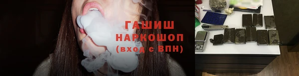 индика Алзамай