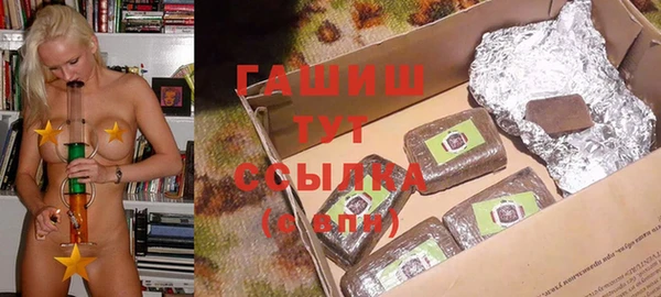 индика Алзамай