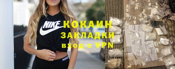 индика Алзамай