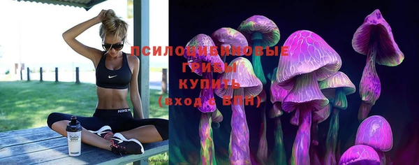 спиды Абинск