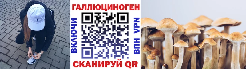 продажа наркотиков  Инта  Галлюциногенные грибы Psilocybe 